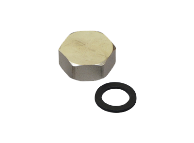 Manifold Blank